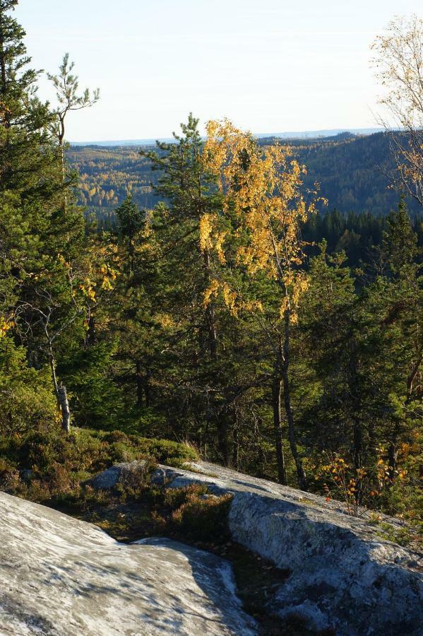 Kolinkylä Paimentupa 빌라 외부 사진