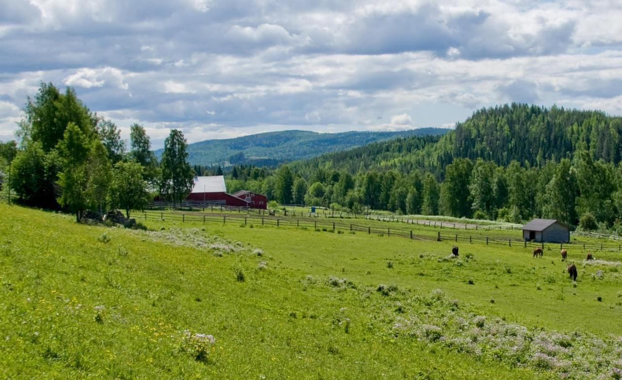 Kolinkylä Paimentupa 빌라 객실 사진